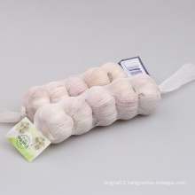 Wholesale garlic normal white color mesh bag package china fresh garlic price